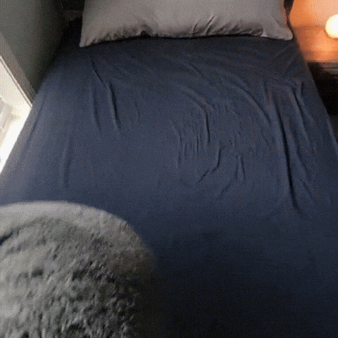 The Love Blanket - Waterproof Intimacy Blanket